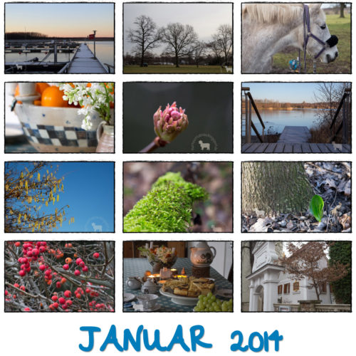 BIWYFI/ JANUAR-COLLAGE
