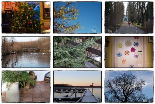 Wochenrückblick in Bildern