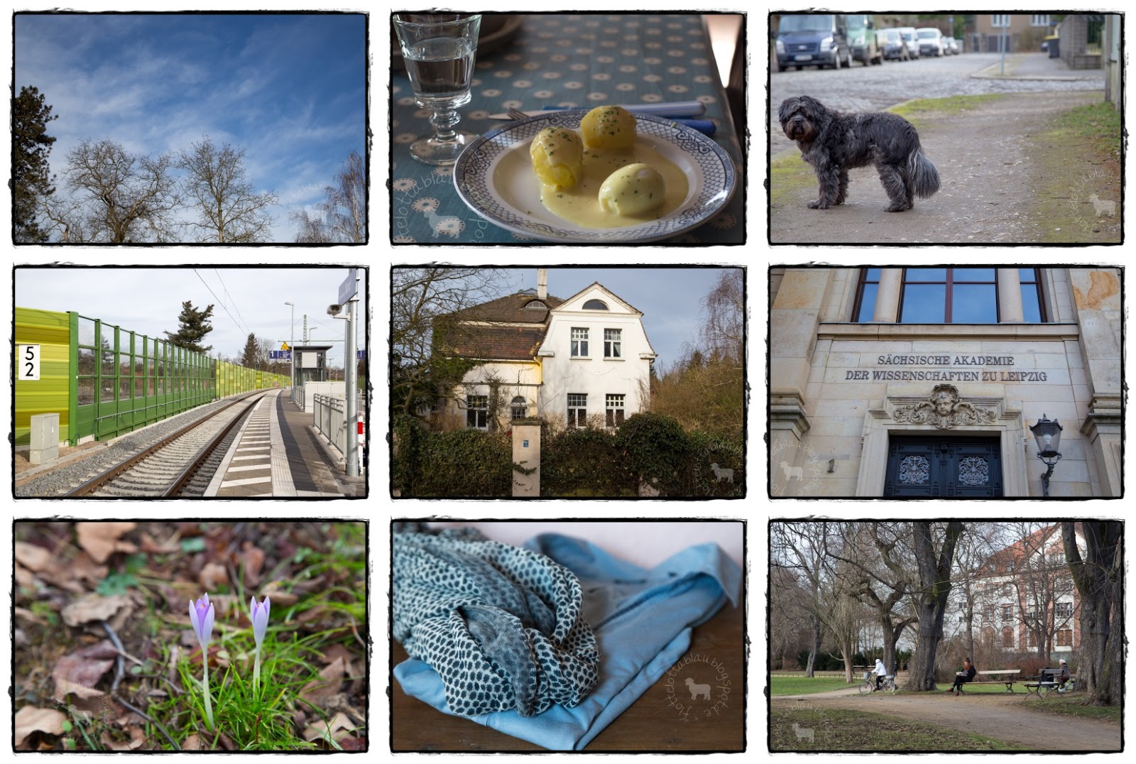 Wochenrückblick In Bilder Heute Macht Der Himmel Blau