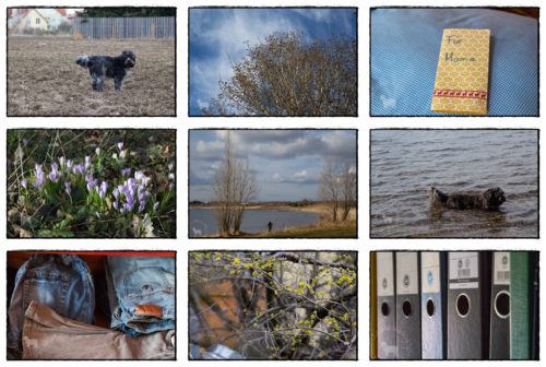 Wochenrückblick in Bildern