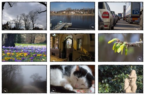 Wochenrückblick in Bildern