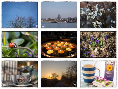 Wochenrückblick in Bildern