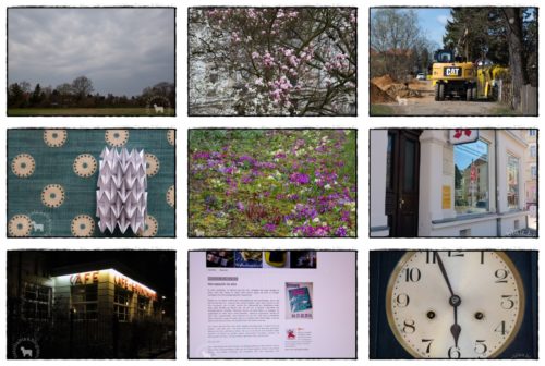 Wochenrückblick in Bildern