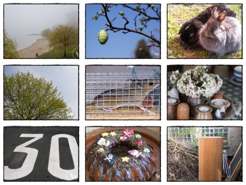 Wochenrückblick in Bildern