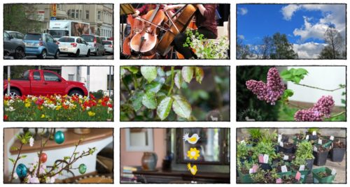 Wochenrückblick in Bildern