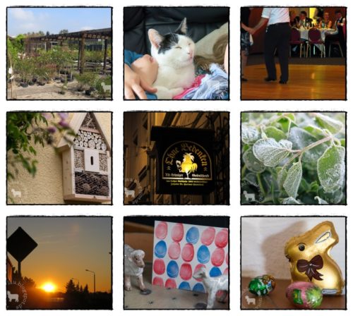 Wochenrückblick in Bildern