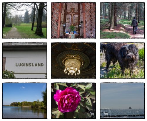 Wochenrückblick in Bildern