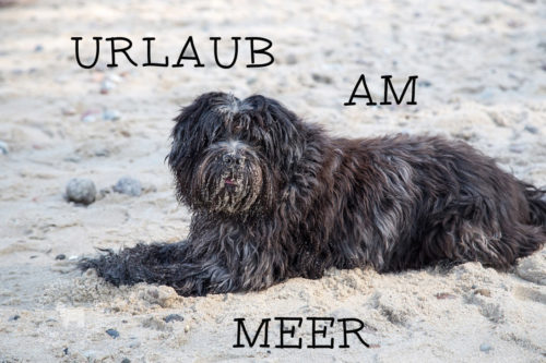 Die schönste Art…Urlaub zu machen