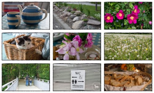 Wochenrückblick in Bildern