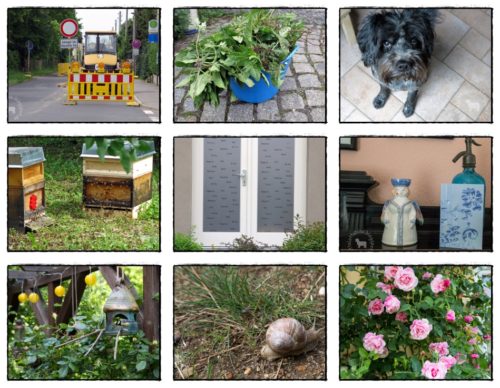 Wochenrückblick in Bildern