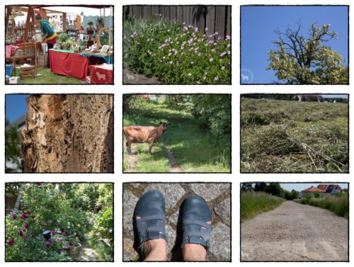 Wochenrückblick in Bildern