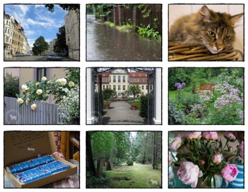 Wochenrückblick in Bildern