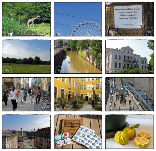 Wochenrückblick in Bildern