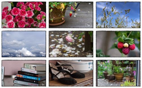 Wochenrückblick in Bildern