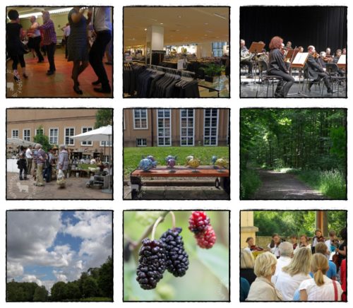 Wochenrückblick in Bildern