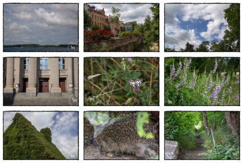 Wochenrückblick in Bildern