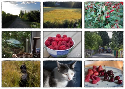 Wochenrückblick in Bildern