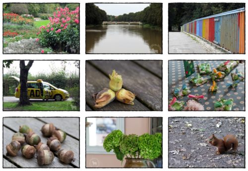 Wochenrückblick in Bildern