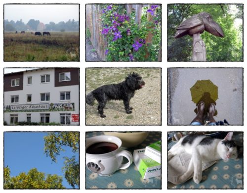 Wochenrückblick in Bildern