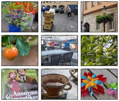 Wochenrückblick in Bildern