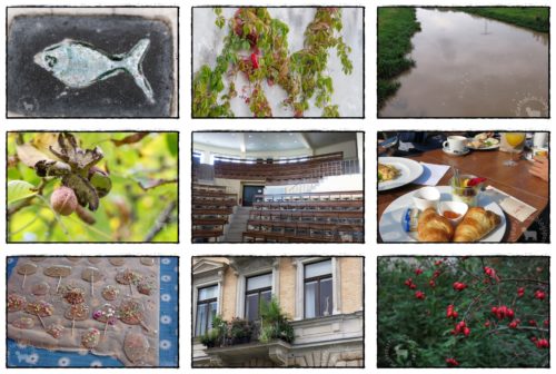 Wochenrückblick in Bildern