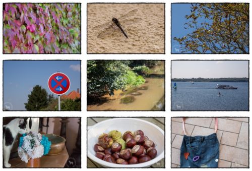 Wochenrückblick in Bildern