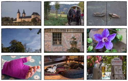 Wochenrückblick in Bildern