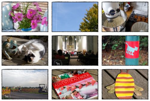 Wochenrückblick in Bildern