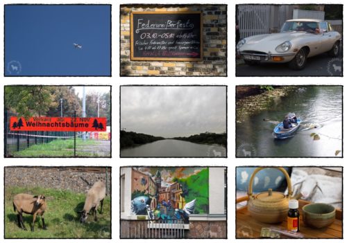 Wochenrückblick in Bildern