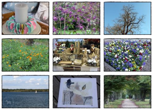 Wochenrückblick in Bildern