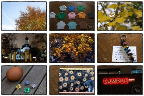 Wochenrückblick in Bildern