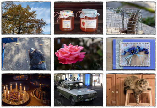 Wochenrückblick in Bildern