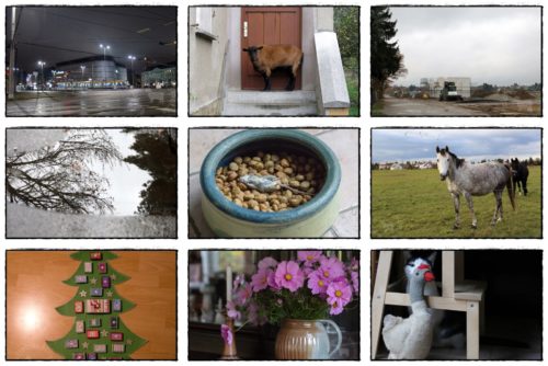 Wochenrückblick in Bildern