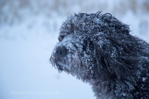 Liegt schon Schnee…?