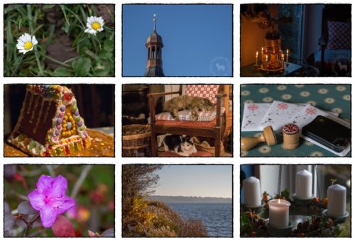 Wochenrückblick in Bildern