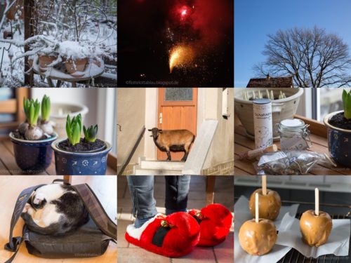 Wochenrückblick in Bildern/ Giveaway-Gewinner