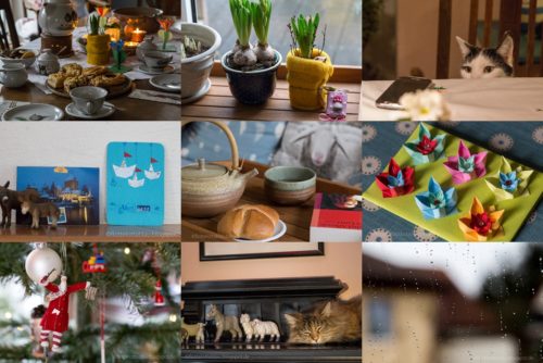 Wochenrückblick in Bildern