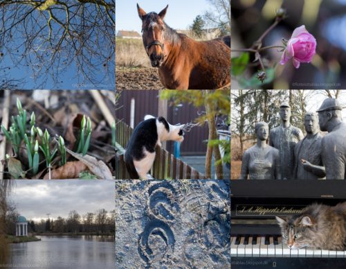 Wochenrückblick in Bildern