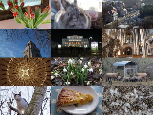 Monats-Collage Februar