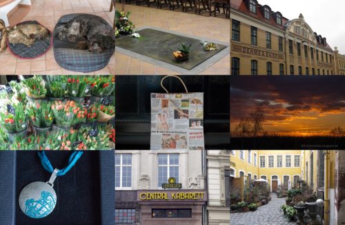 Wochenrückblick in Bildern