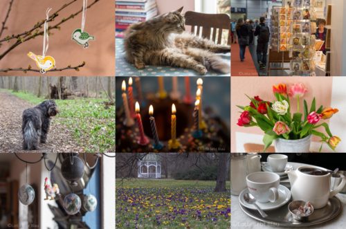 Monats-Collage März