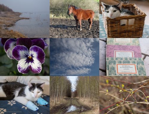 Wochenrückblick in Bildern