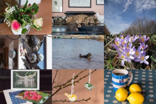 Wochenrückblick in Bildern