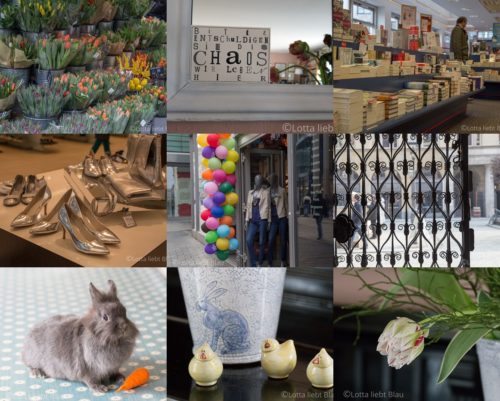 Wochenrückblick in Bildern