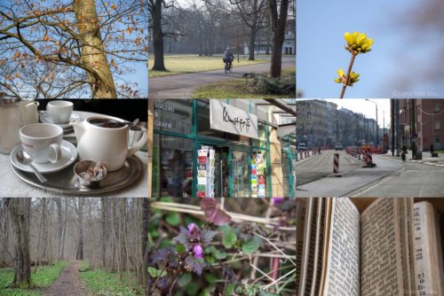 Wochenrückblick in Bildern