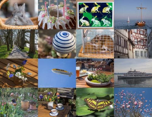 Monats-Collage April