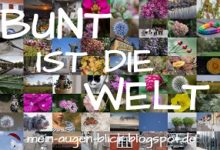 Bunt ist die Welt #15