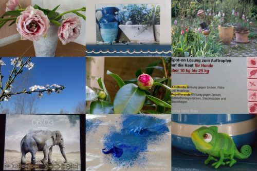 Wochenrückblick in Bildern