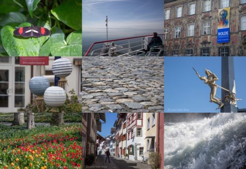 Wochenrückblick in Bildern