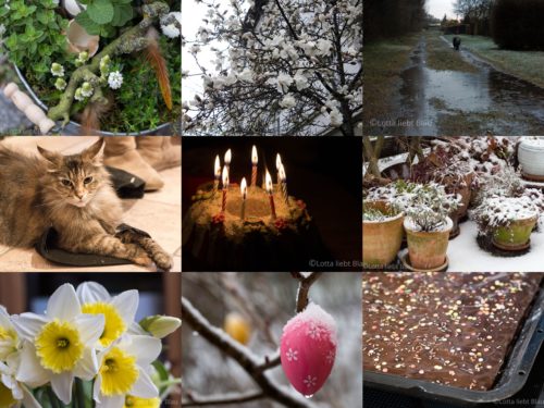 Wochenrückblick in Bildern